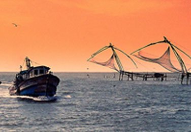 cochin taxi